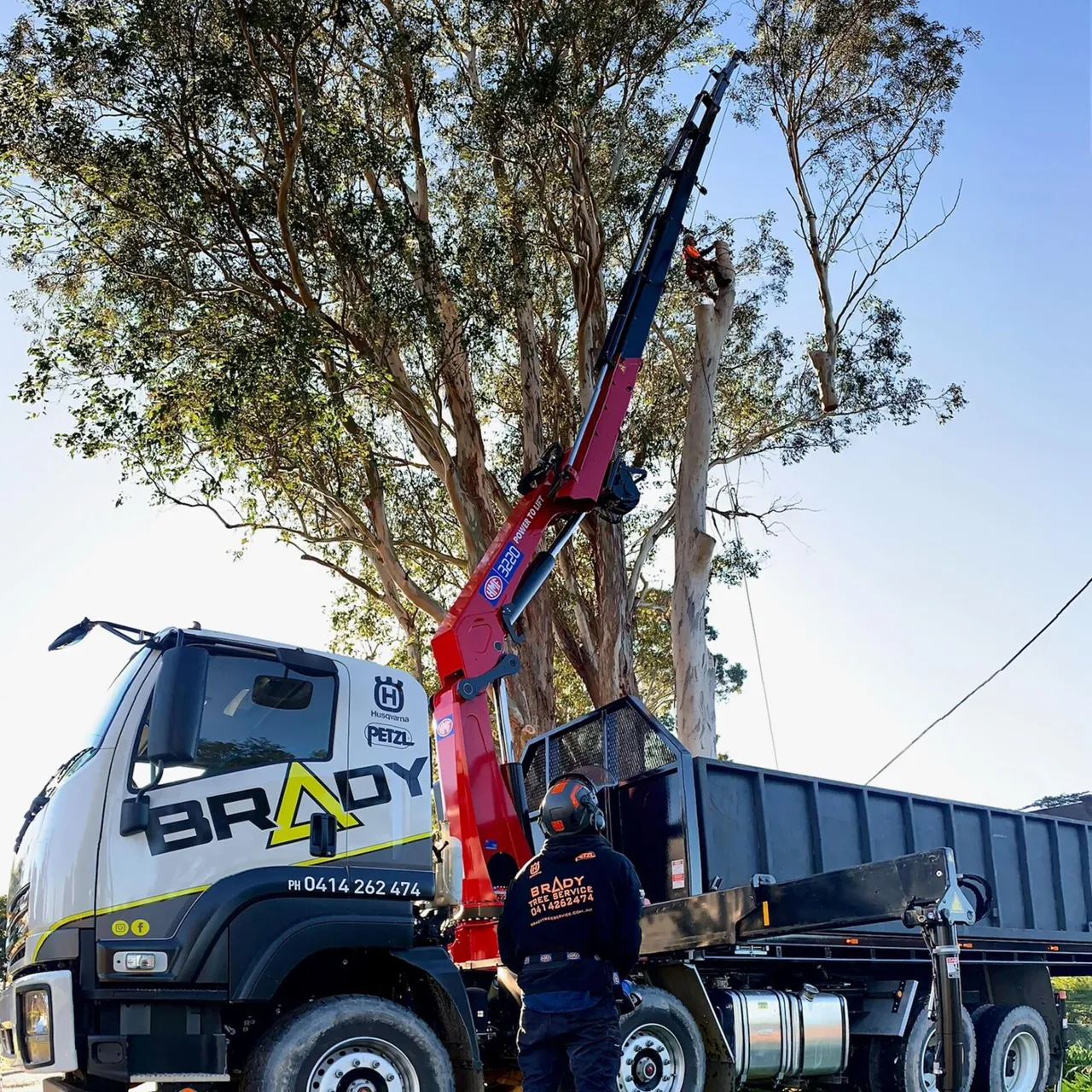 Brady Tree Service