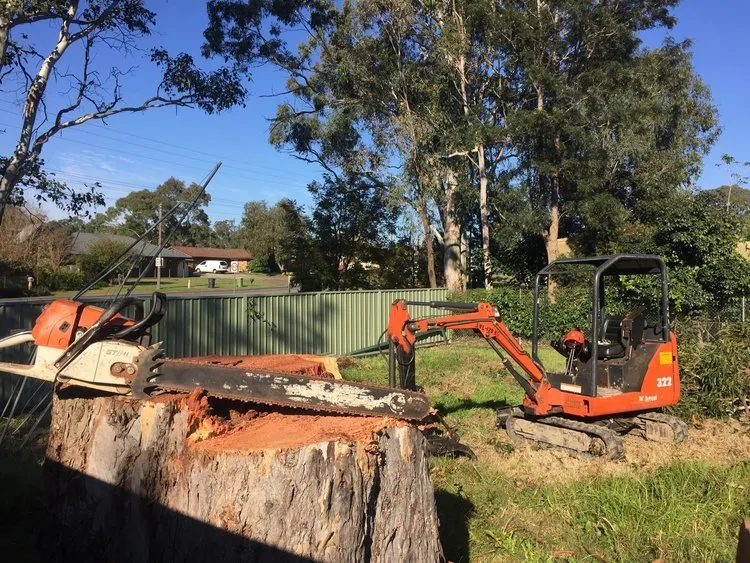 Stump Grinding